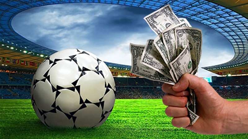 All You Need to Know About Melidia Bet