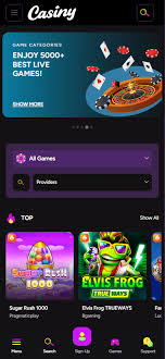 Discover Online Excitement with casiny3