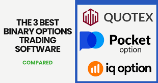 Which is the Best Binary Option A Comprehensive Guide Which is the Best Binary Option A Comprehensive Guide